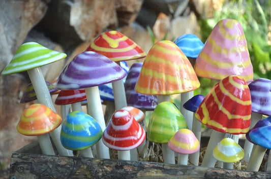 Shroomyz Ceramic Mushroom – Fantasy Variety Pack