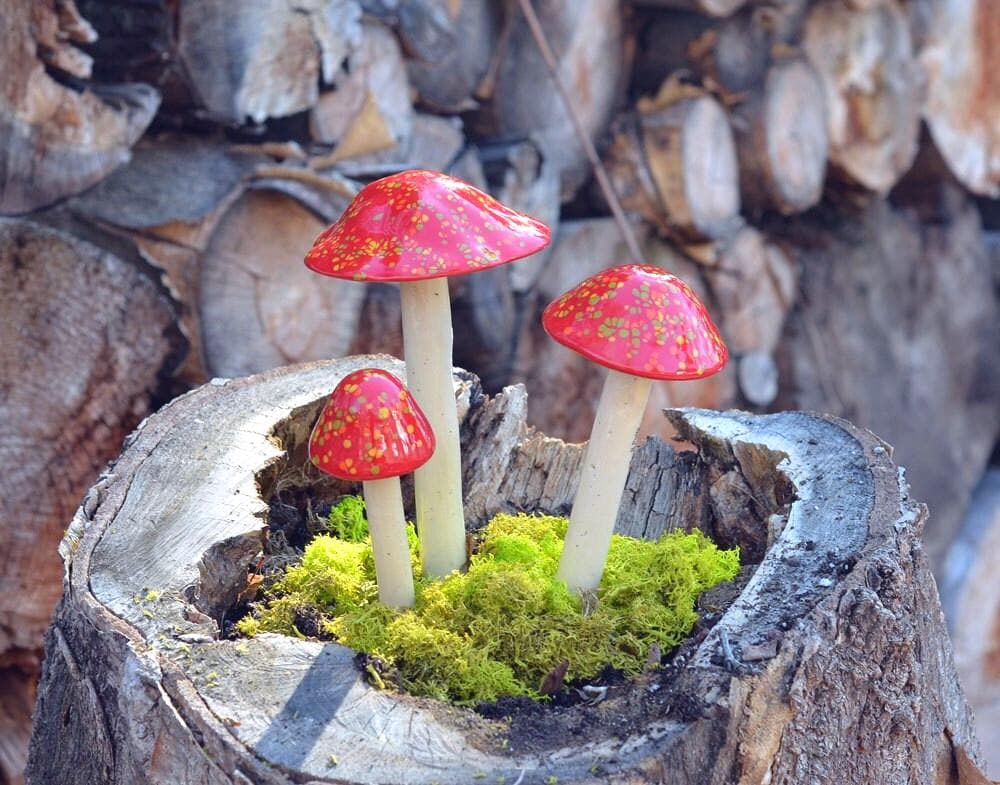 Shroomyz Ceramic Mushroom – Firecracker