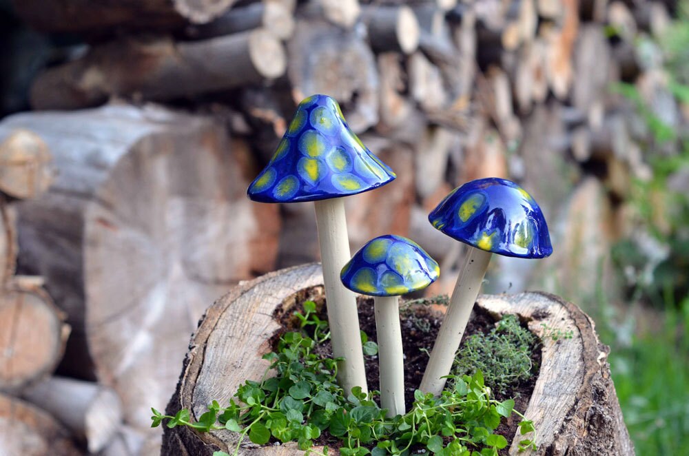 Shroomyz Ceramic Mushroom – Firefly Night