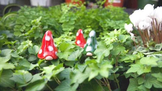Gnomyz – Christmas Micro Pack - Image 2 of 3 | Garden Decor