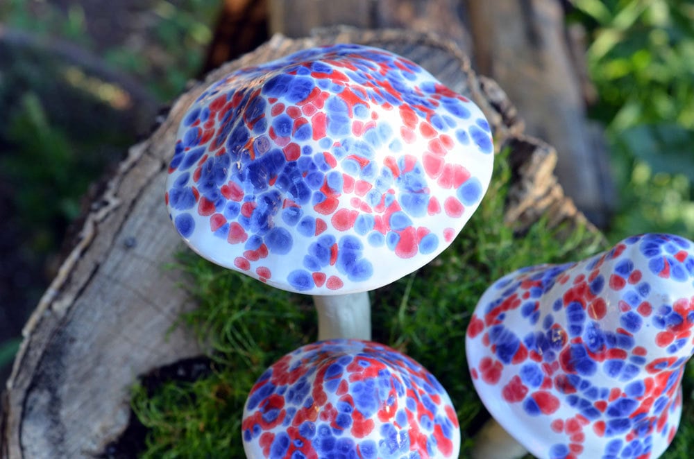 Shroomyz Ceramic Mushroom – Funfetti