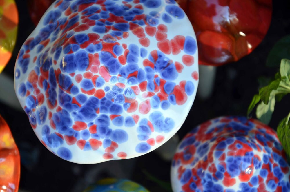 Shroomyz Ceramic Mushroom – Funfetti