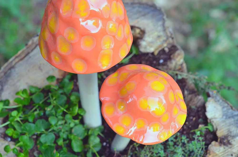 Shroomyz Ceramic Mushroom – Fuzzy Peach