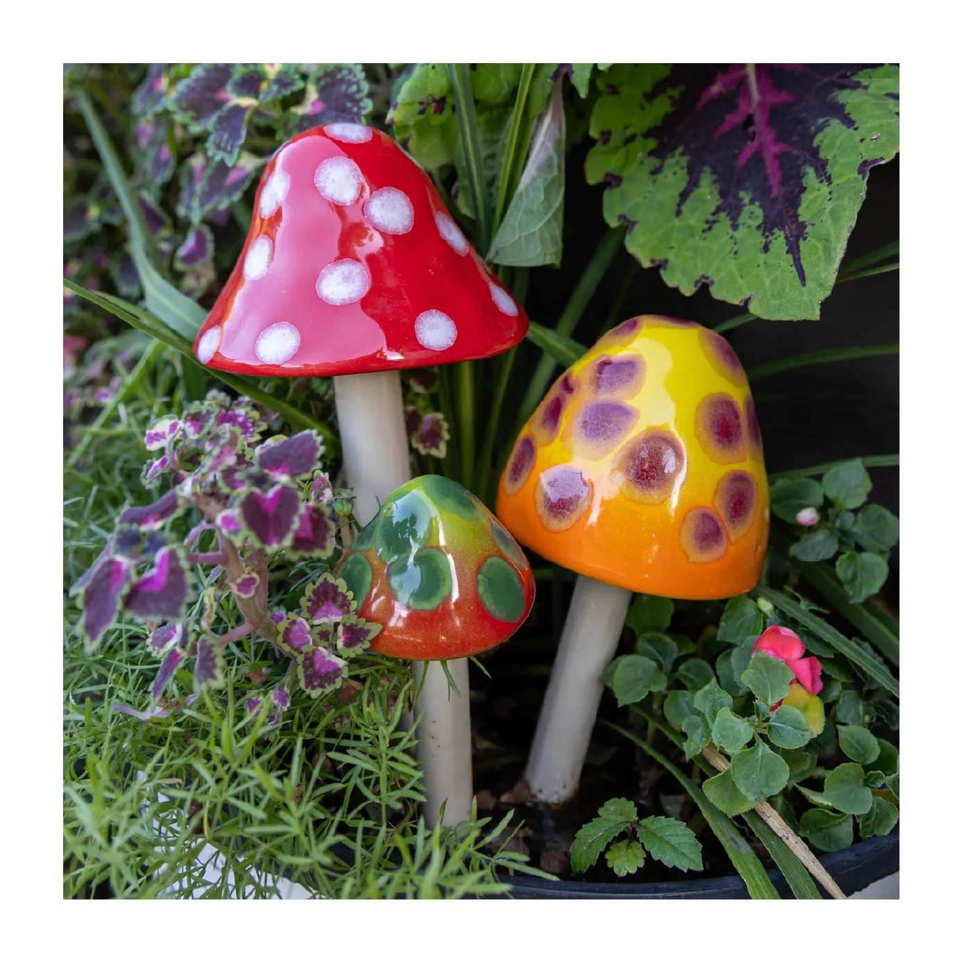 Shroomyz Ceramic Mushroom – Gumdrop Variety Pack