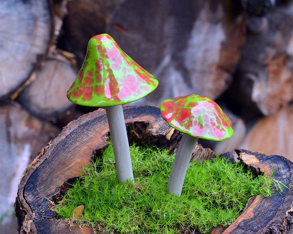 Shroomyz Ceramic Mushroom – Johnny Appleseed