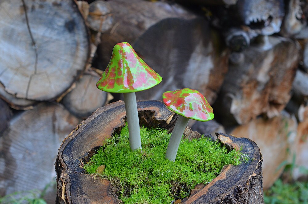 Shroomyz Ceramic Mushroom – Johnny Appleseed