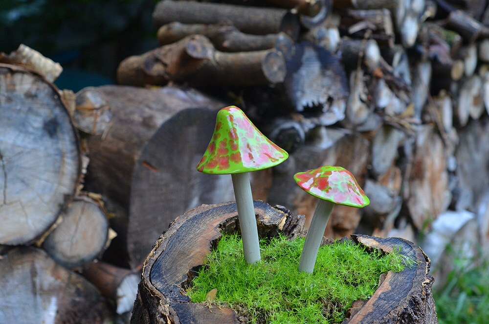 Shroomyz Ceramic Mushroom – Johnny Appleseed