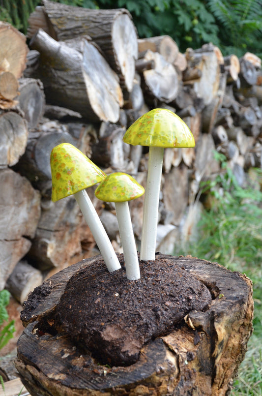 Shroomyz Ceramic Mushroom – Lemon Lime