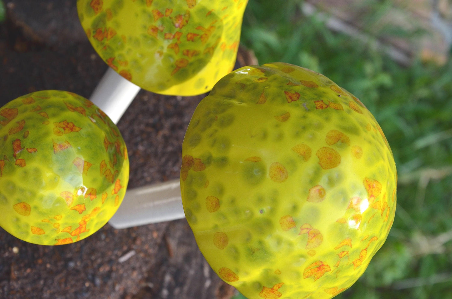 Shroomyz Ceramic Mushroom – Lemon Lime