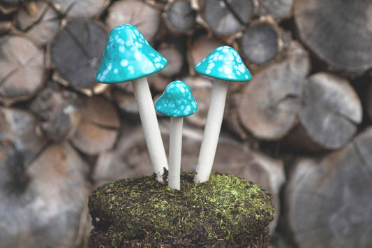 Shroomyz Ceramic Mushroom – Mint Burst
