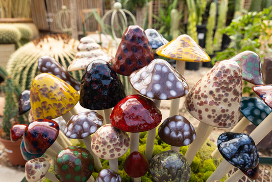 Shroomyz Ceramic Mushroom – Natural Variety Pack