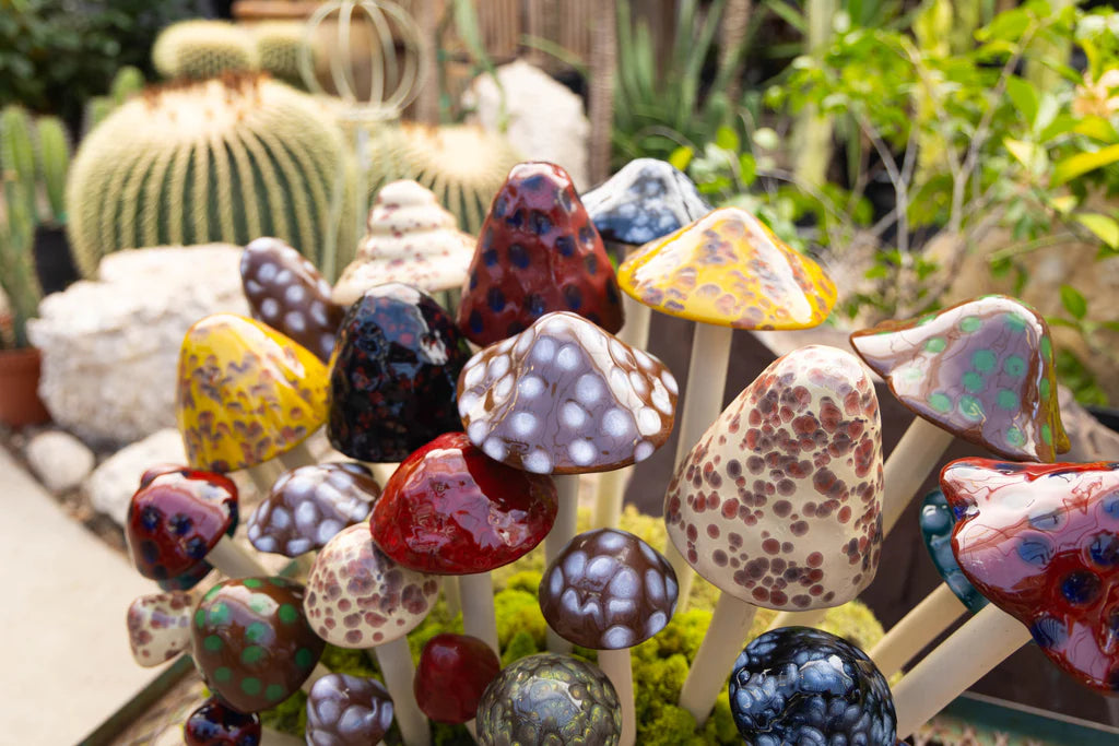Shroomyz Ceramic Mushroom – Natural Variety Pack