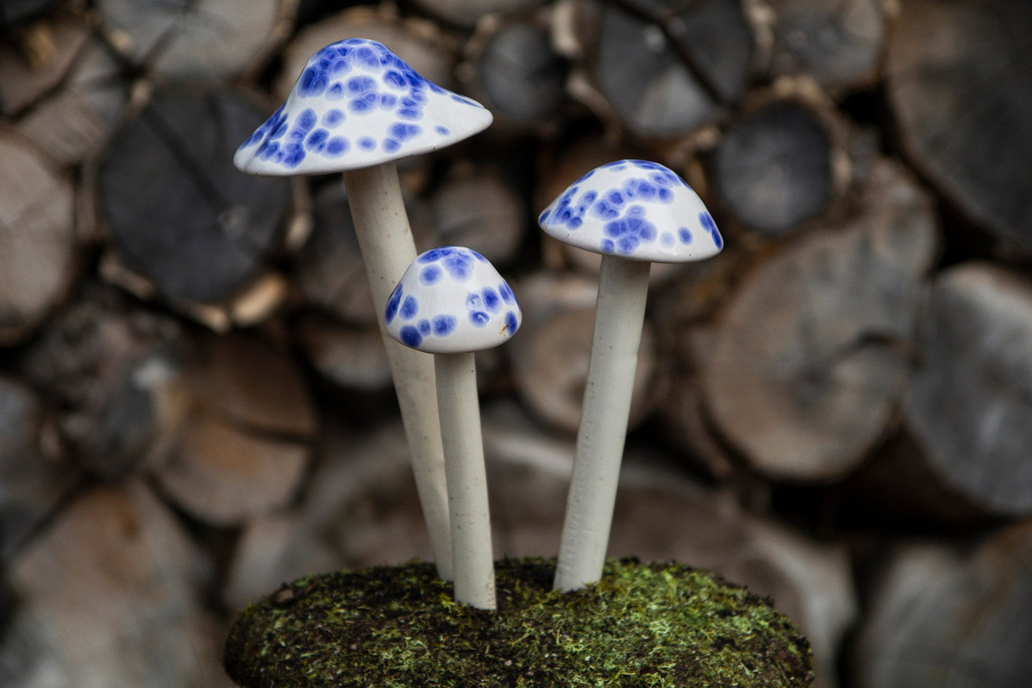 Shroomyz Ceramic Mushroom – Old English