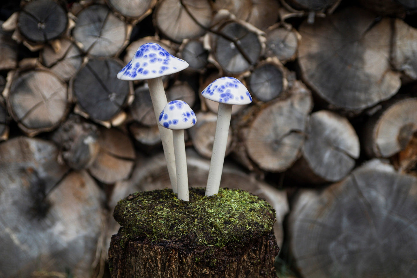 Shroomyz Ceramic Mushroom – Old English