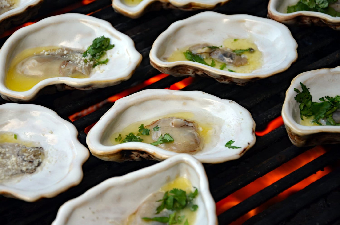 Oyster Shells for Grilling