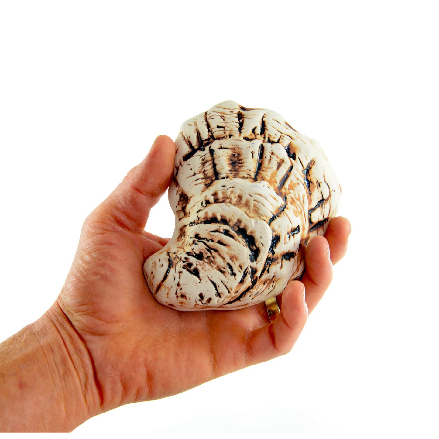 Oyster Shells for Grilling