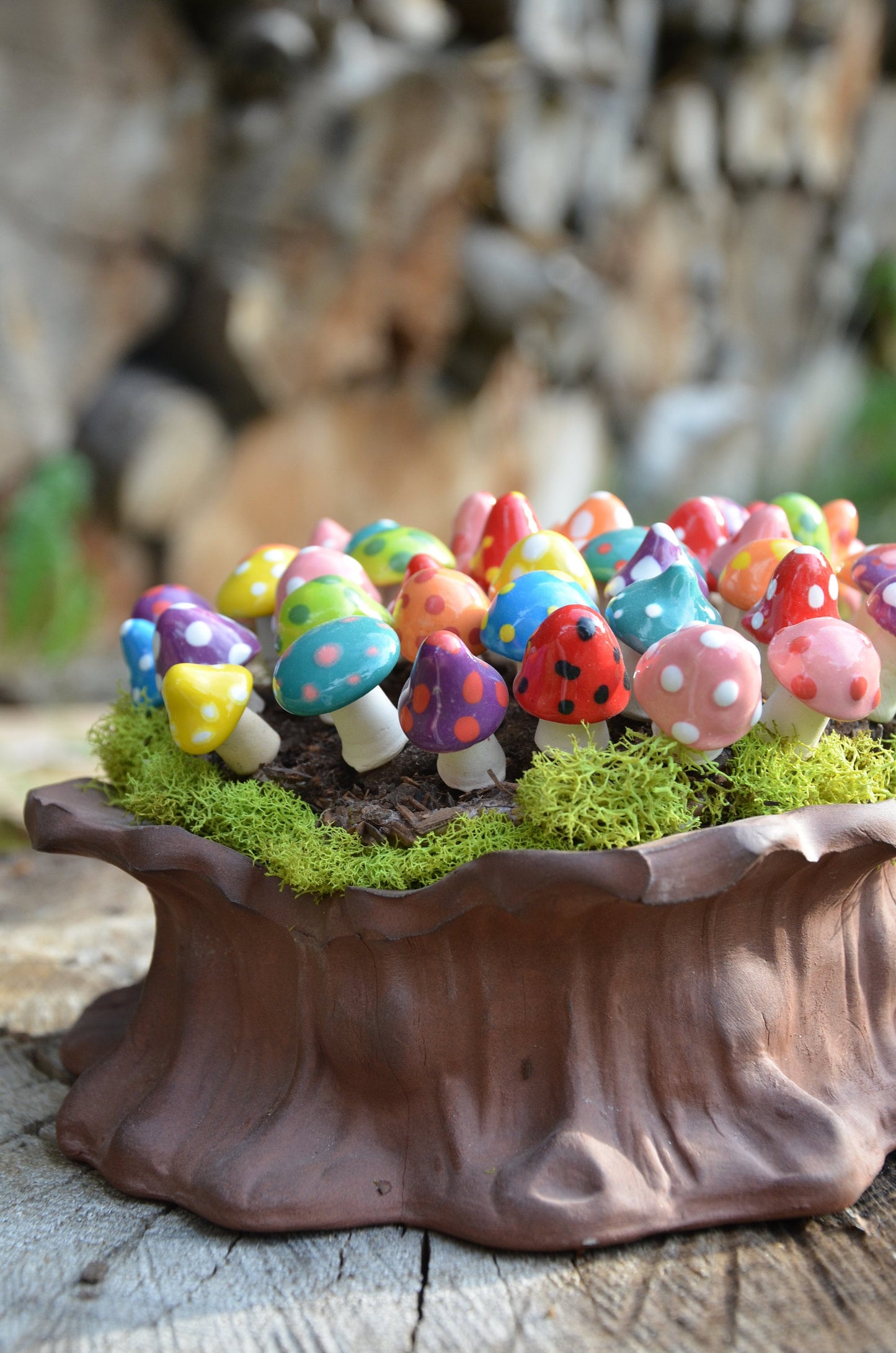 Shroomyz Ceramic Mushroom – Pico Variety Pack