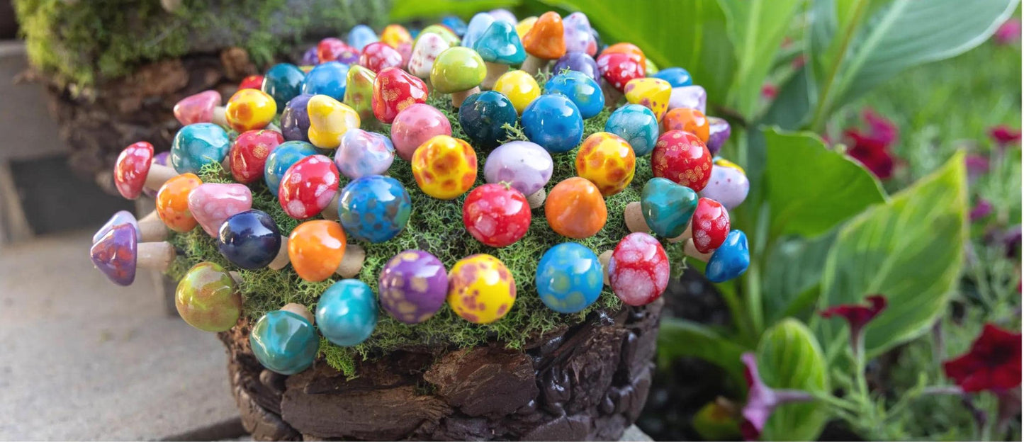 Shroomyz Ceramic Mushroom – Pico Variety Pack