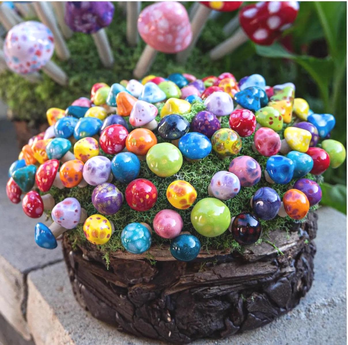 Shroomyz Ceramic Mushroom – Pico Variety Pack