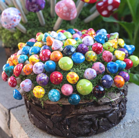 Shroomyz – Pico Pack - Image 1 of 10 | Garden Decor