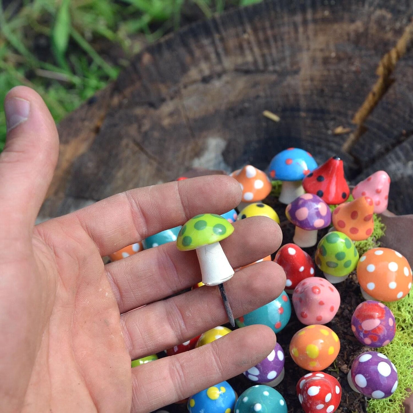 Shroomyz Ceramic Mushroom – Pico Variety Pack