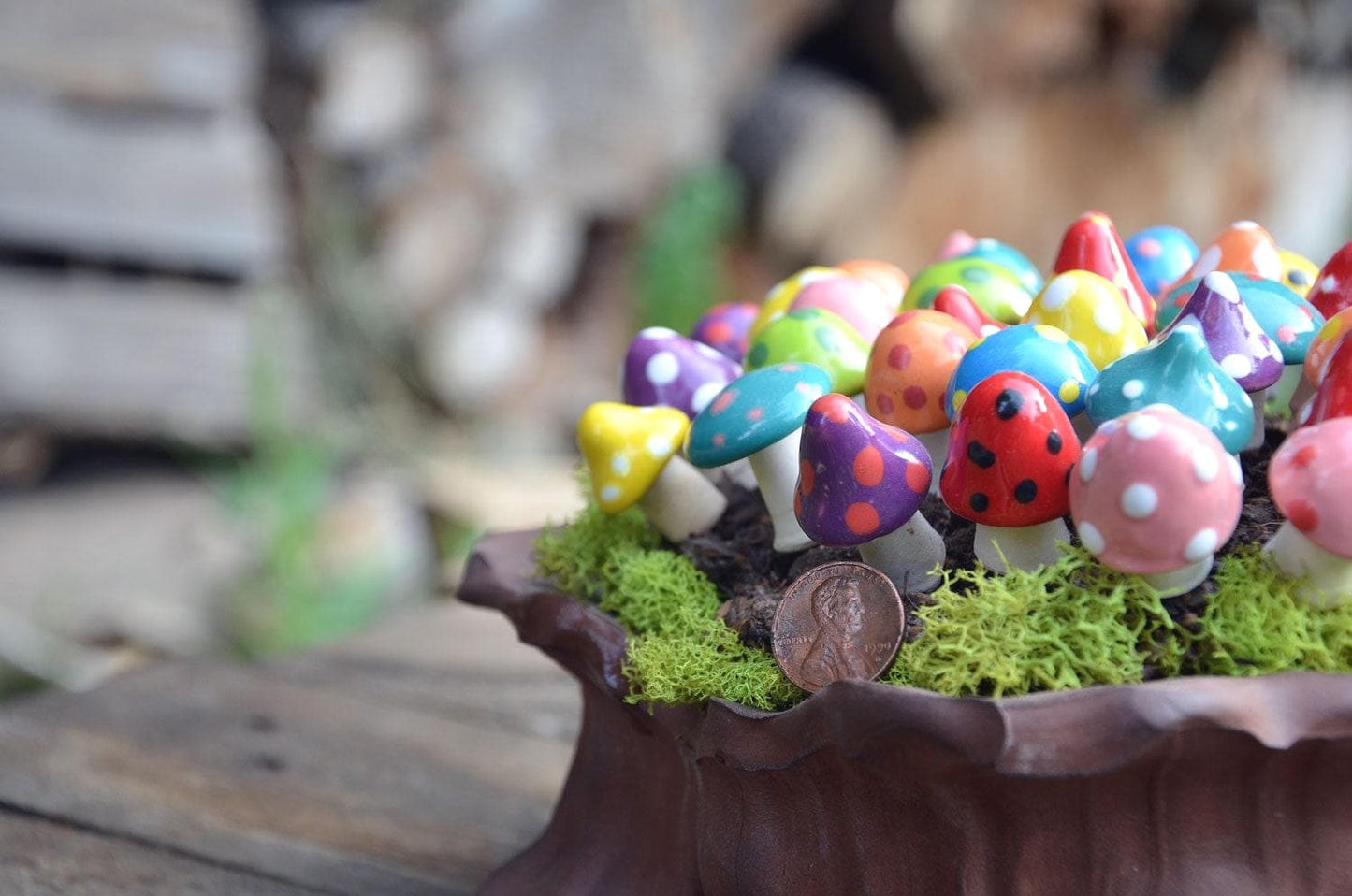 Shroomyz Ceramic Mushroom – Pico Variety Pack