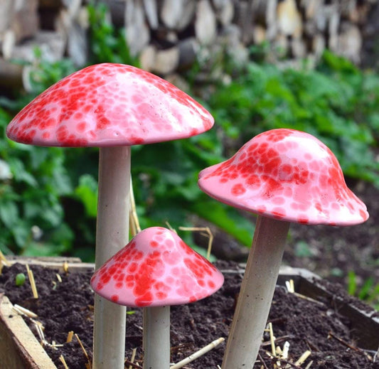 Shroomyz Ceramic Mushroom – Pink Cherry