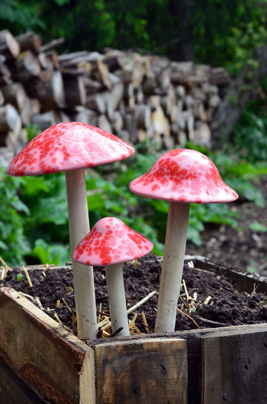 Shroomyz Ceramic Mushroom – Pink Cherry