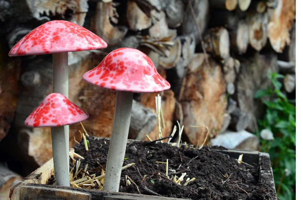 Shroomyz Ceramic Mushroom – Pink Cherry