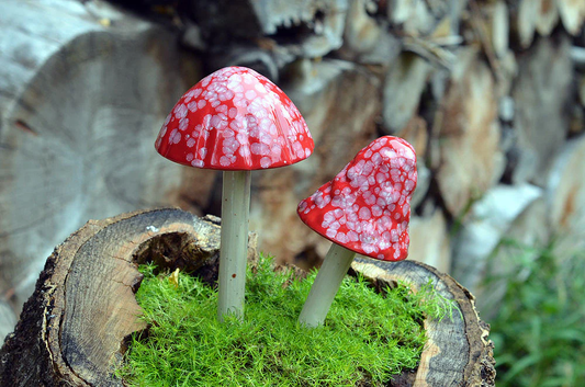 Shroomyz Ceramic Mushroom – Red Planet