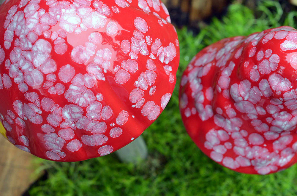 Shroomyz Ceramic Mushroom – Red Planet