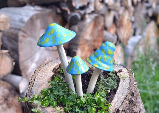 Shroomyz Ceramic Mushroom – Robin's Egg