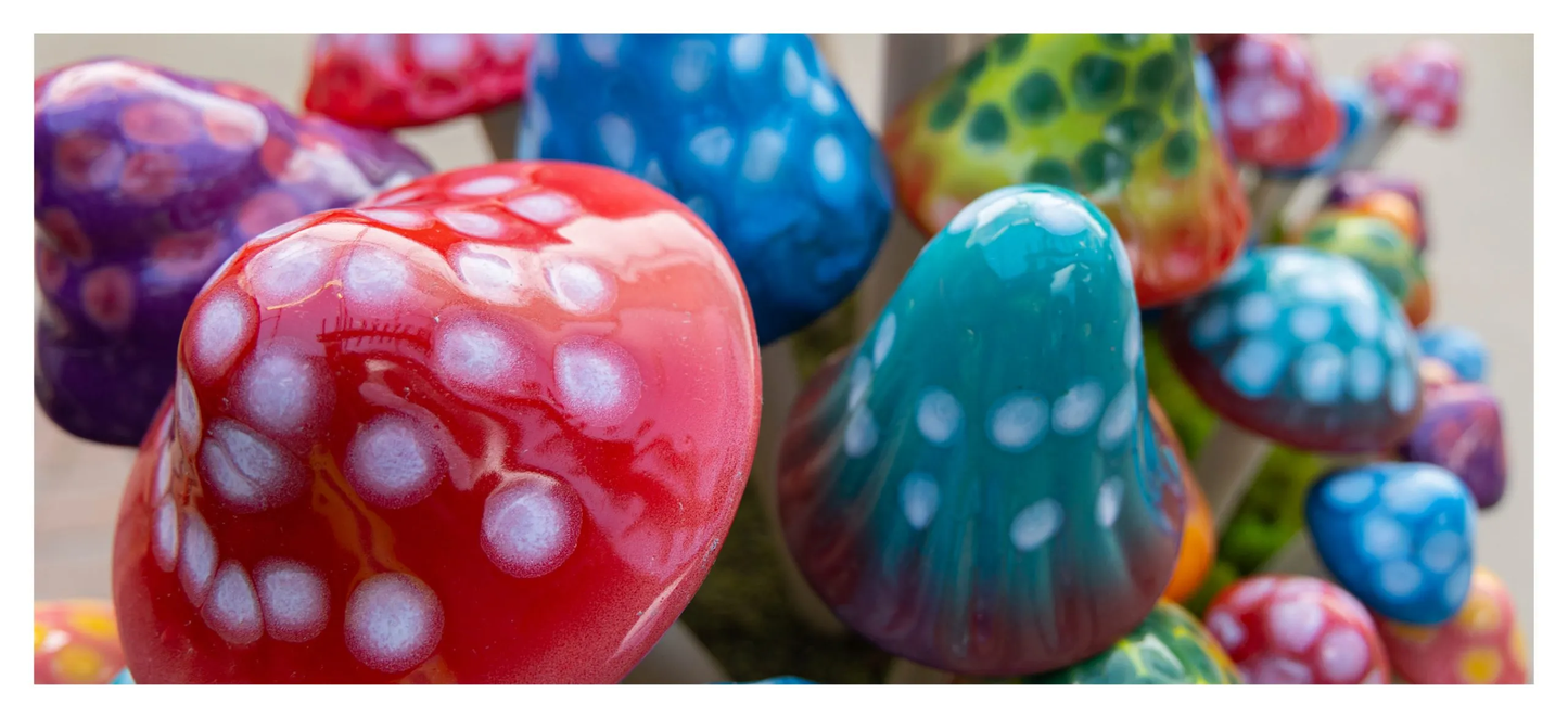 Shroomyz Ceramic Mushroom – Gumdrop Variety Pack
