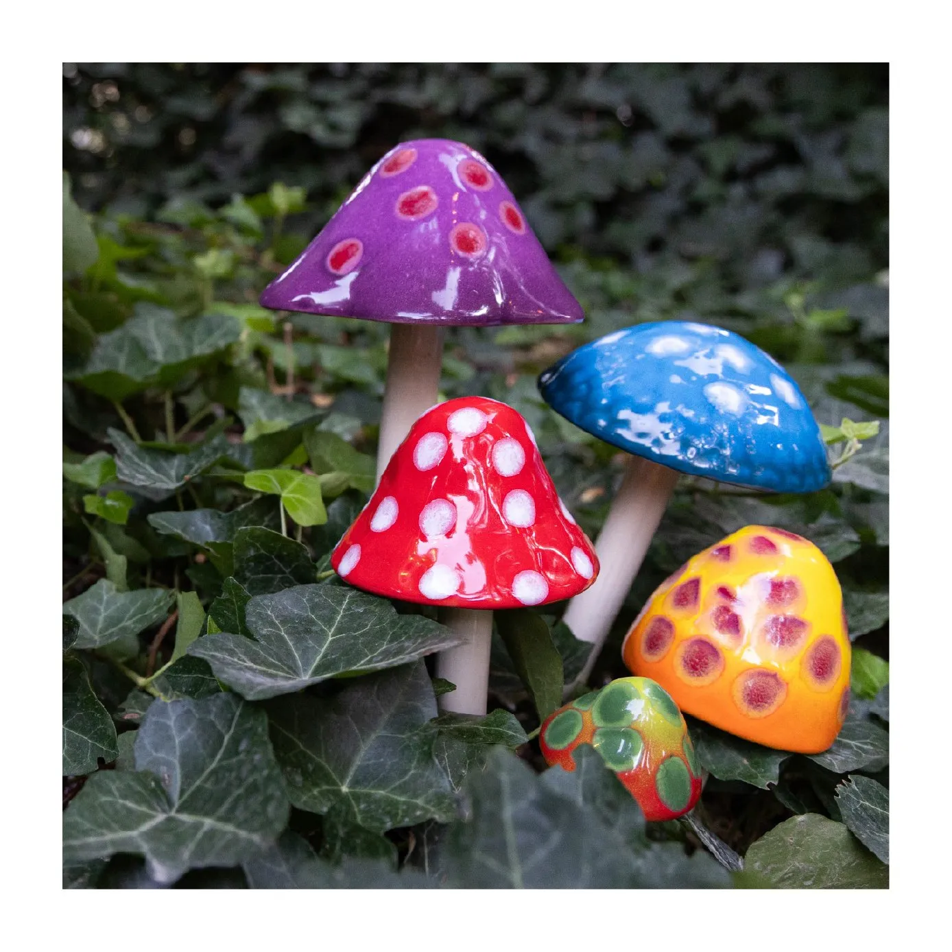 Shroomyz Ceramic Mushroom – Gumdrop Variety Pack