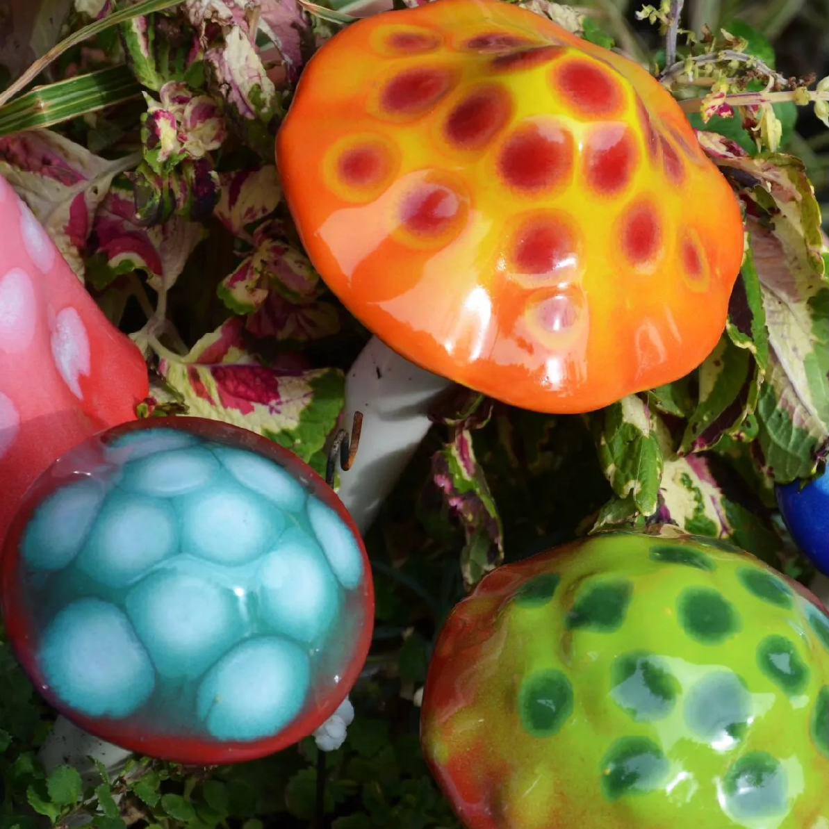 Shroomyz Ceramic Mushroom – Gumdrop Variety Pack