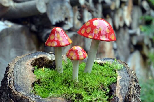 Shroomyz Ceramic Mushroom – Sunburst