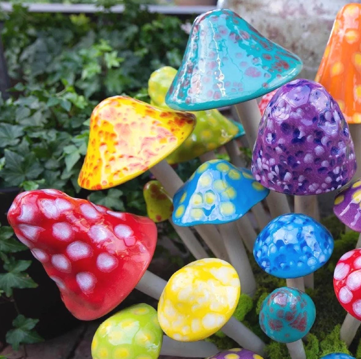 Shroomyz – Funtasmic Collection – Variety Pack - Image 2 of 8 | Garden Decor
