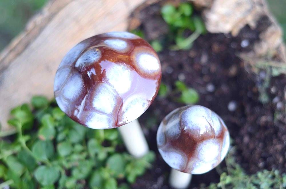 Shroomyz Ceramic Mushroom – Toasty Mallow