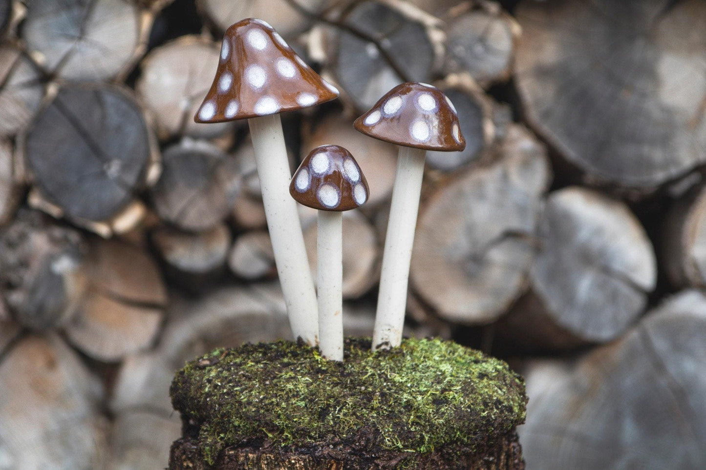 Shroomyz Ceramic Mushroom – Toasty Mallow