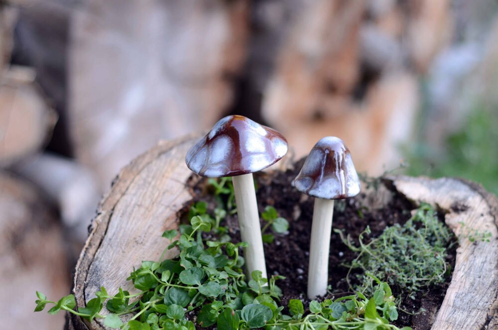 Shroomyz Ceramic Mushroom – Toasty Mallow