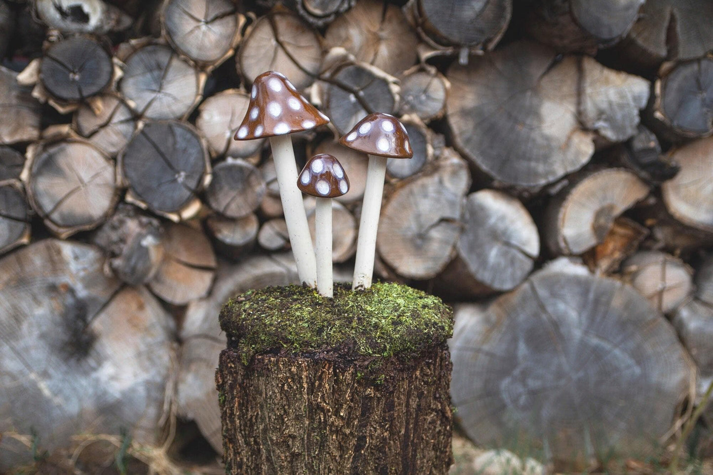 Shroomyz Ceramic Mushroom – Toasty Mallow