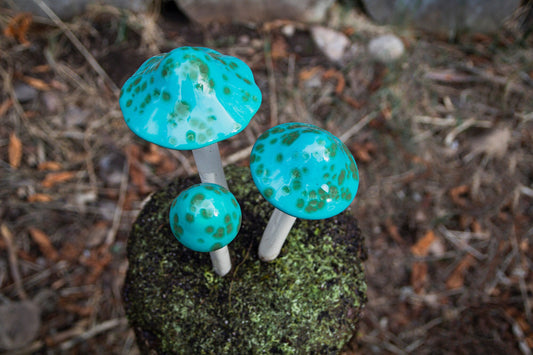 Shroomyz Ceramic Mushroom – Turquoise Turtle