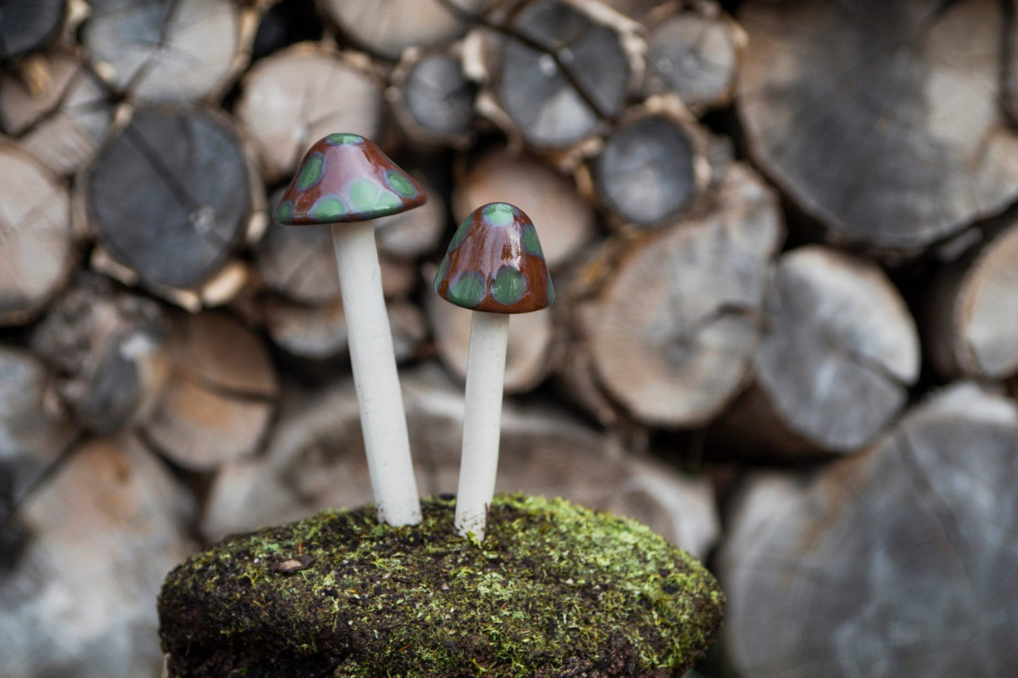 Shroomyz Ceramic Mushroom – Turtle Time