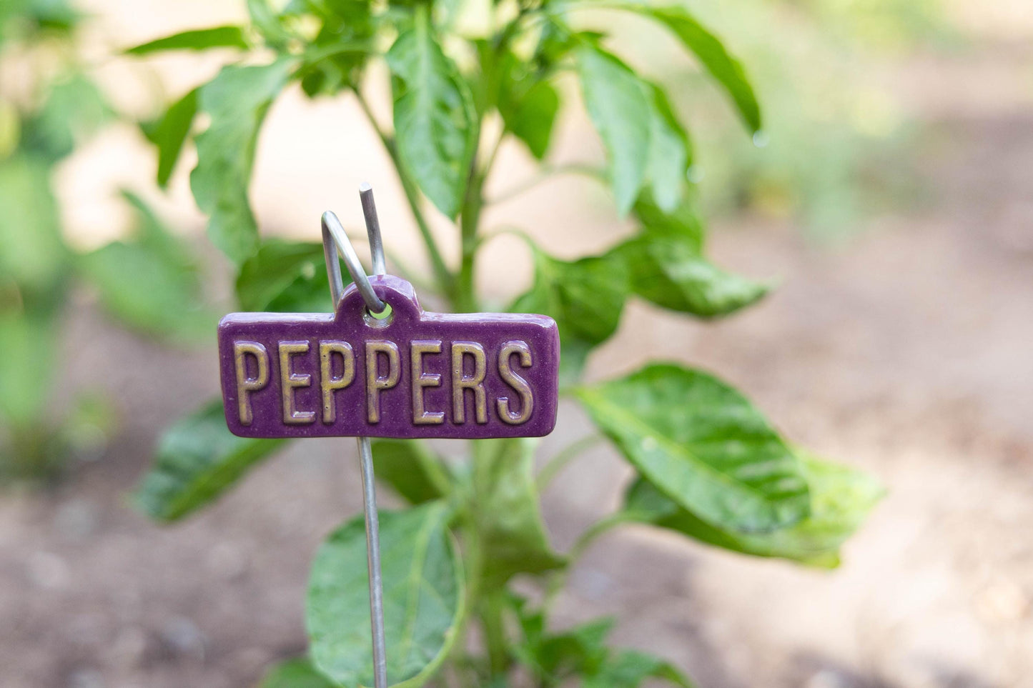 Vegetable & Fruit Garden Markers – Handmade Ceramic Stakes