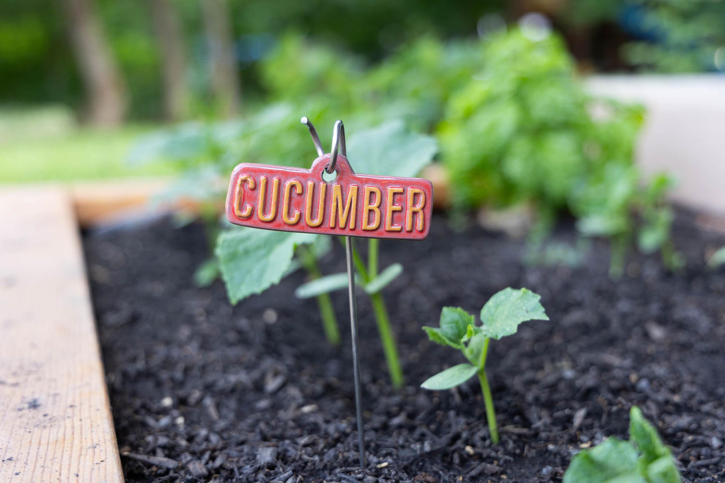 Vegetable & Fruit Garden Markers – Handmade Ceramic Stakes