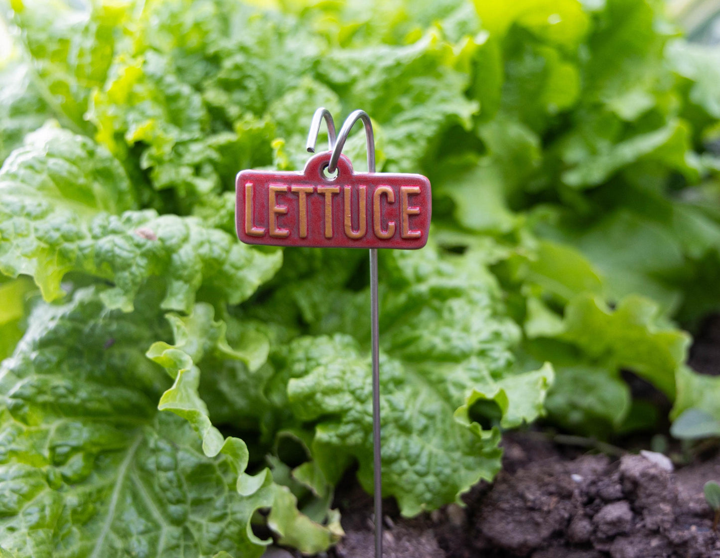 Vegetable & Fruit Garden Markers – Handmade Ceramic Stakes