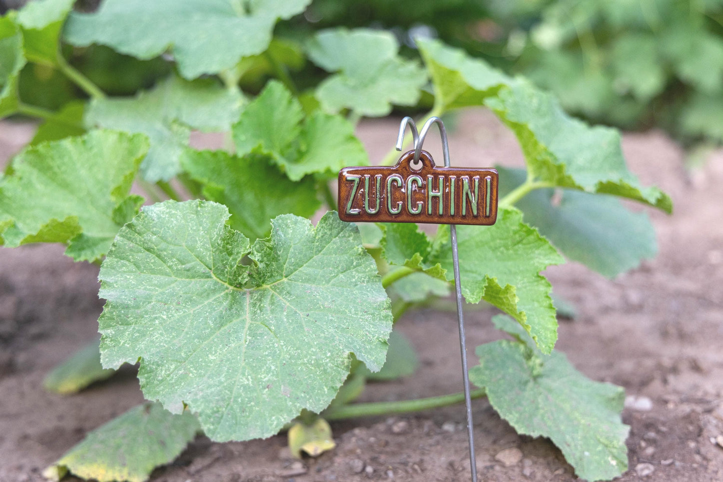 Vegetable & Fruit Garden Markers – Handmade Ceramic Stakes