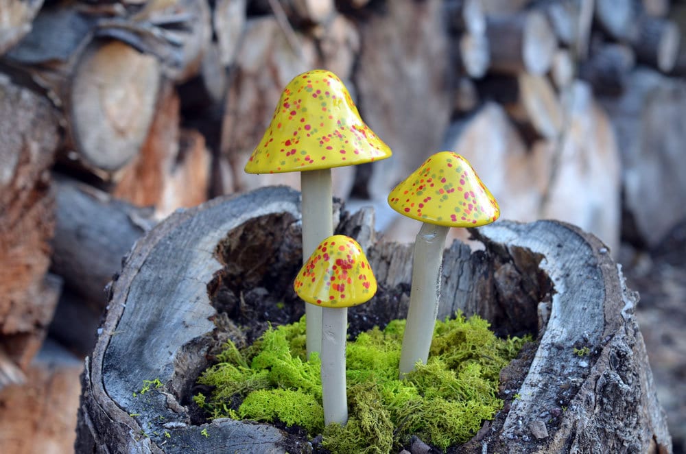 Shroomyz Ceramic Mushroom – Wildfire