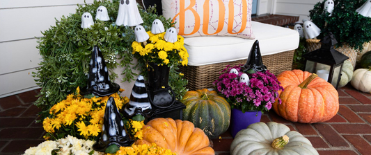 Witchyz – Pick by Size (Single) - Image 2 of 8 | Garden Decor